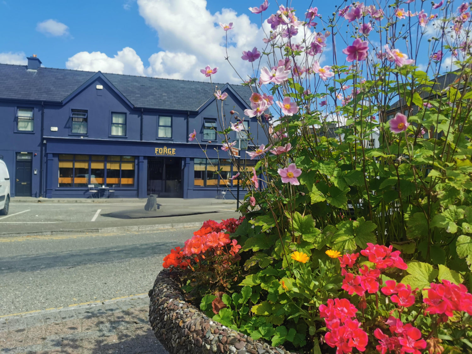 The front of the Forge cafe and market store on a sunny day. Taken from across the road, by a plant arrangement full of vibrant foliage
